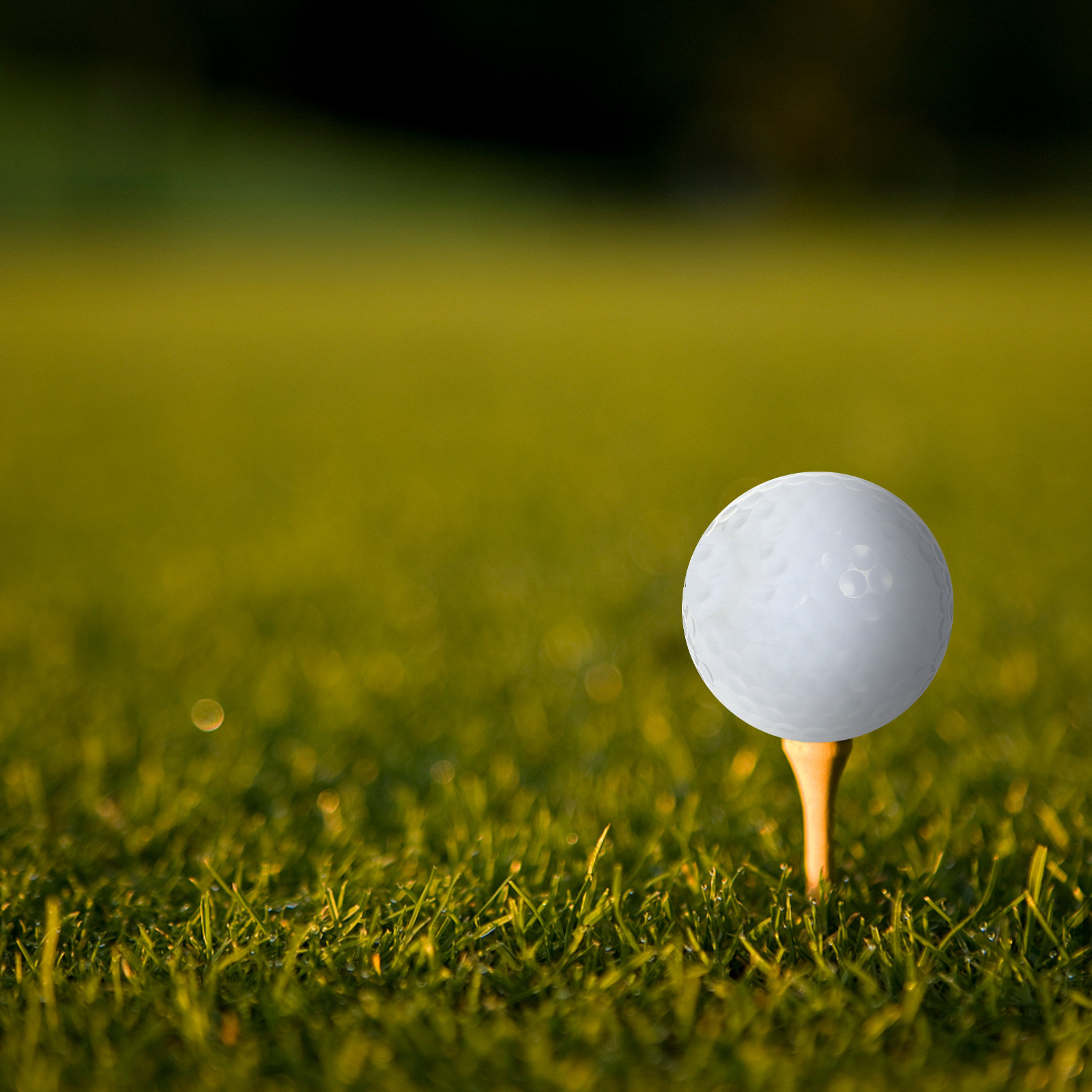 كرات جولف للتدريب الداخلي، معد - مراجعة Golf Equipment Beginners وسعره